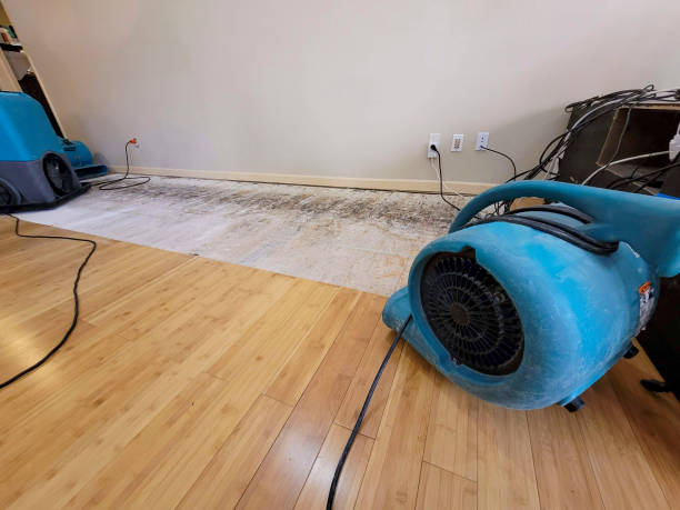 Professional Water Damage Repair technician working in Louisville, CO
